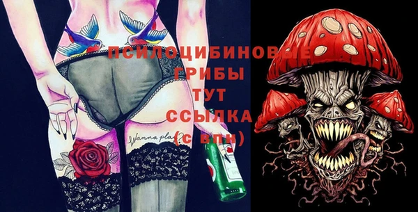 индика Алексин