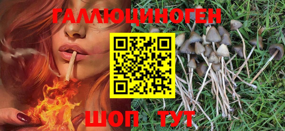 Отрадный  Галлюциногенные грибы MAGIC MUSHROOMS  Вход с VPN 